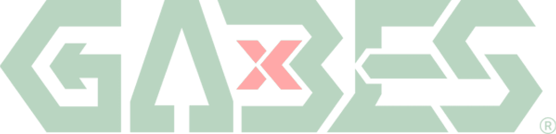 Light Logo