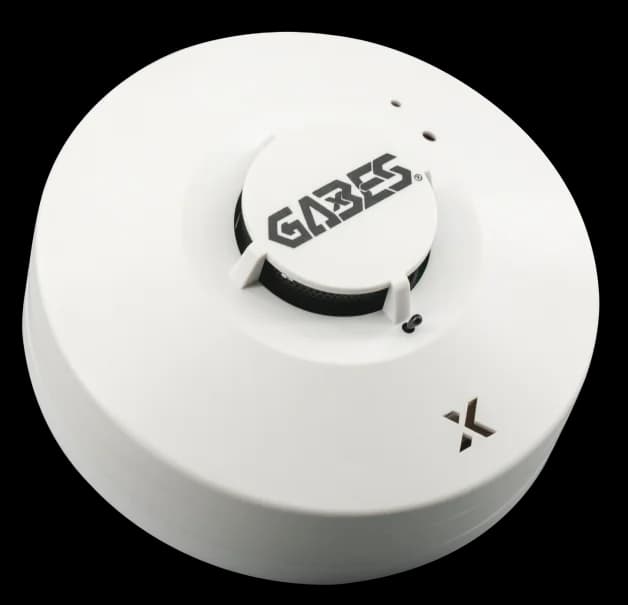 Edge AI-Powered Detection